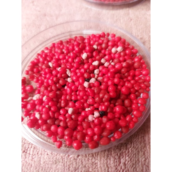 pupuk merah aglonema|philodendron