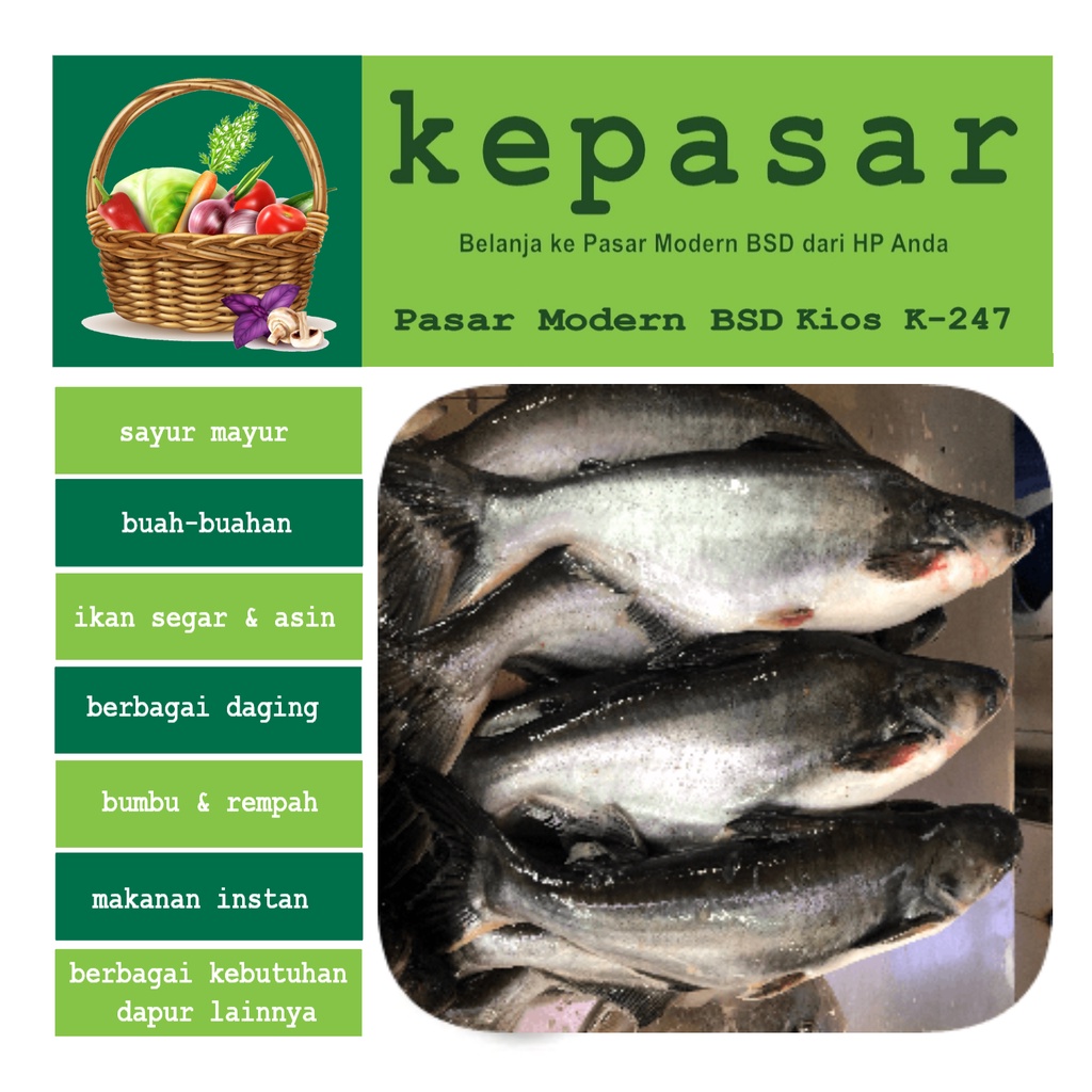 

Ikan Patin 1 kg