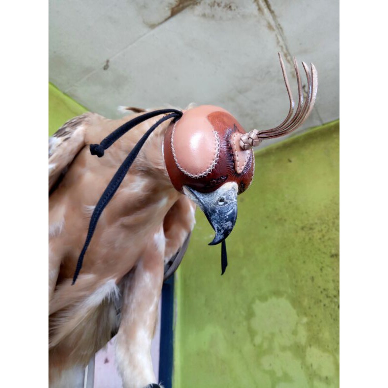 arabian hood for falconry/tutup kepala burung elang