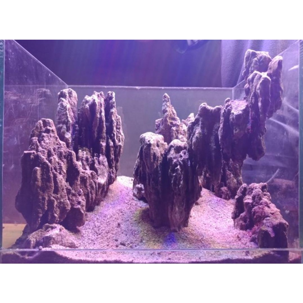 Jual Promo Isi Kg Batu Pasir Aquascape Aquarium Sand Stone Batu