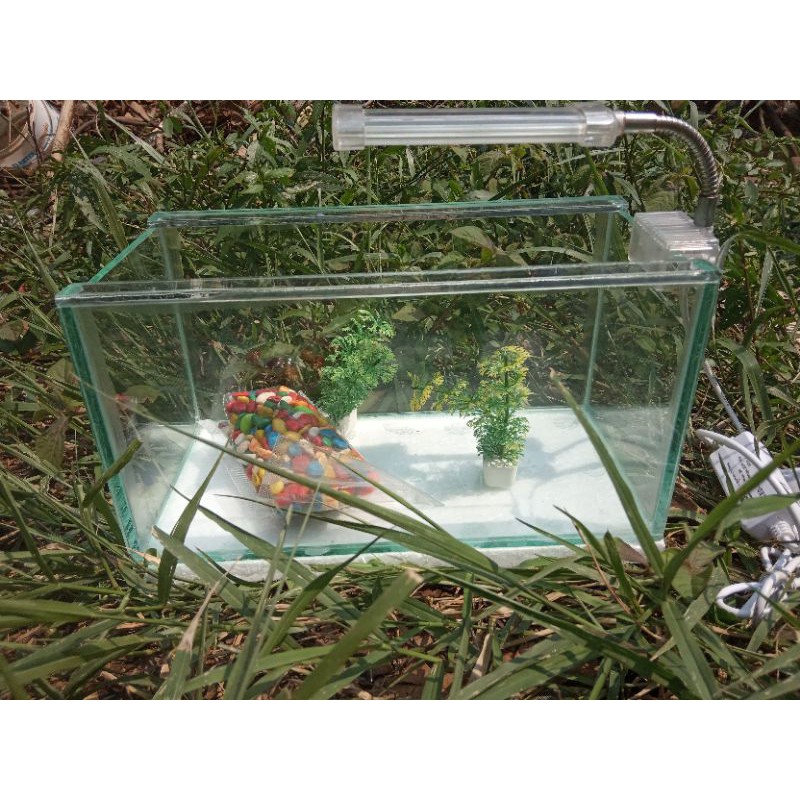 Pakett Komplit Aquarium aquascape +Tanaman hias+Lampu LEd+Batu hias warna