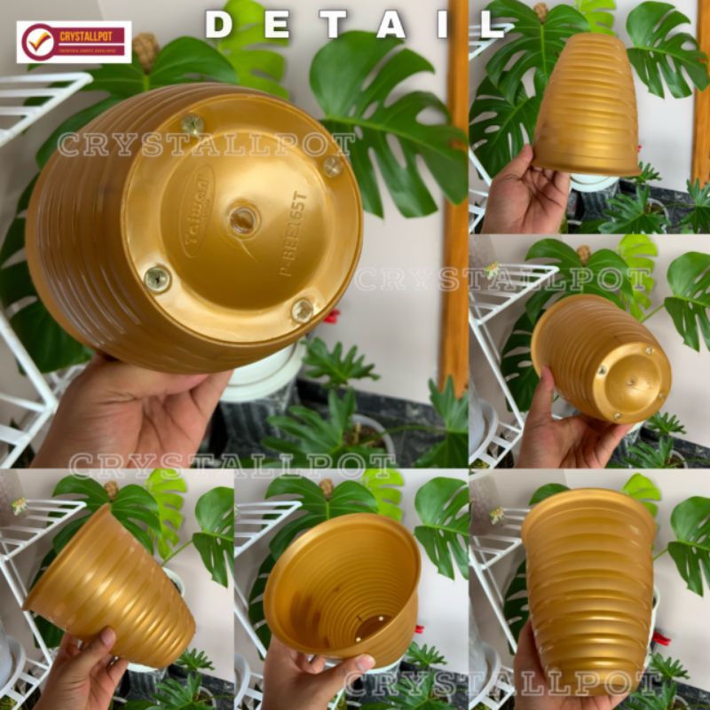 Pot bunga tanaman tawon gold tinggi 18 cm - taiwan BEE 185T GOLD