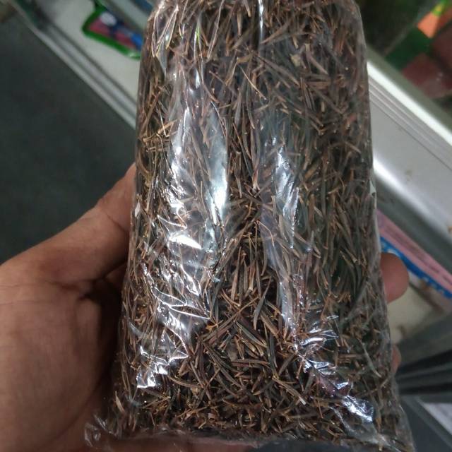 benih lalap kenikir bunga ungu 50gram