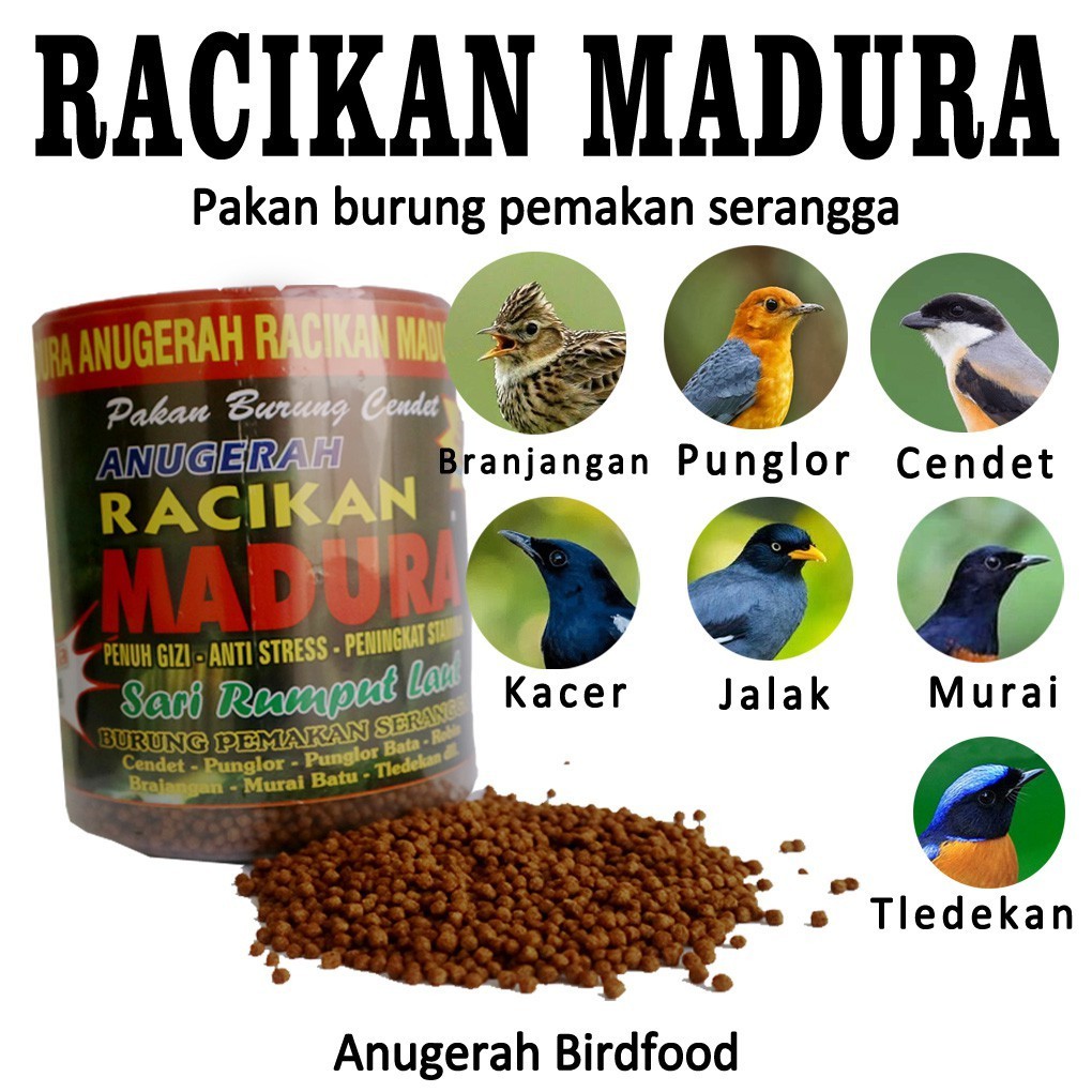 Pakan Burung Cendet Racikan Madura Shopee Indonesia