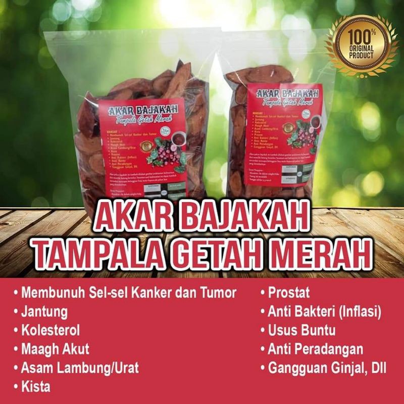 

akar bajakah tampala getahmerah