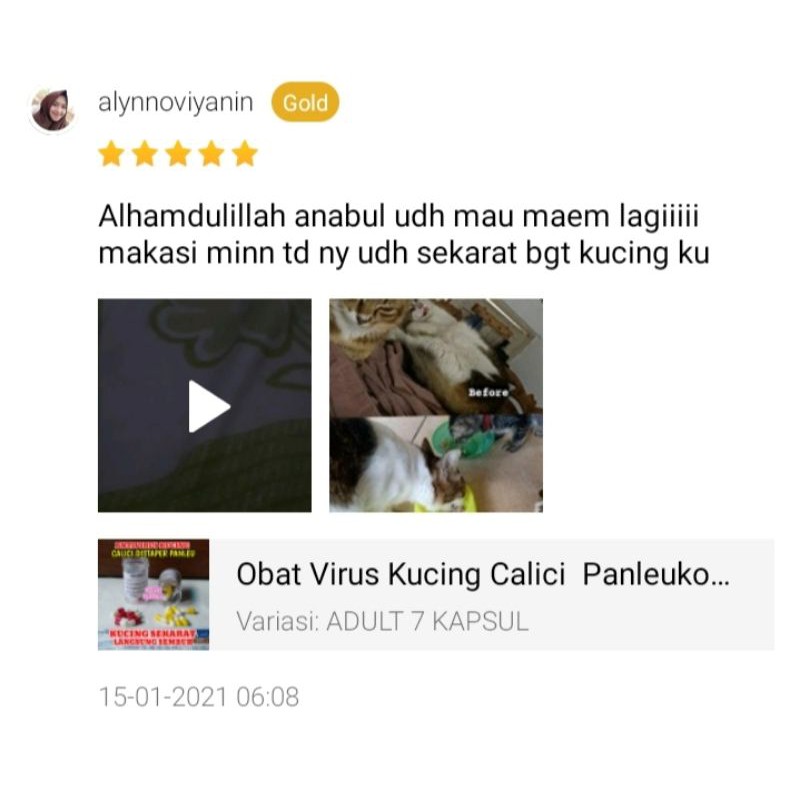 Obat Virus Kucing Calici  Panleukopenia Distemper Paling Ampuh Antivirus Cat