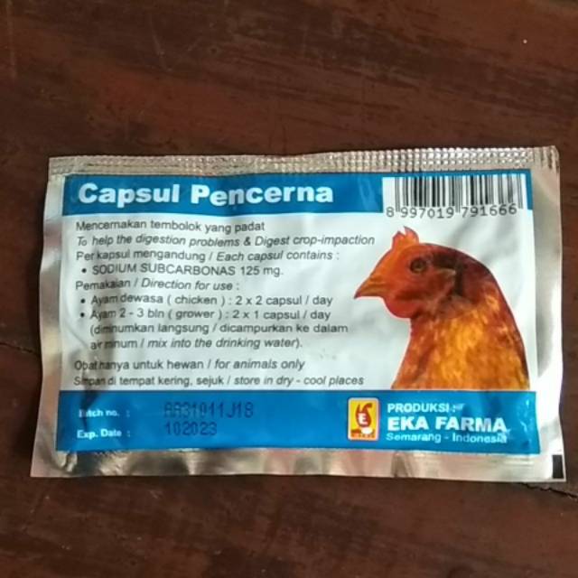 KAPSUL PENCERNA 10 kapsul tembolok eka farma capsul kapsul PENCERNA obat ayam