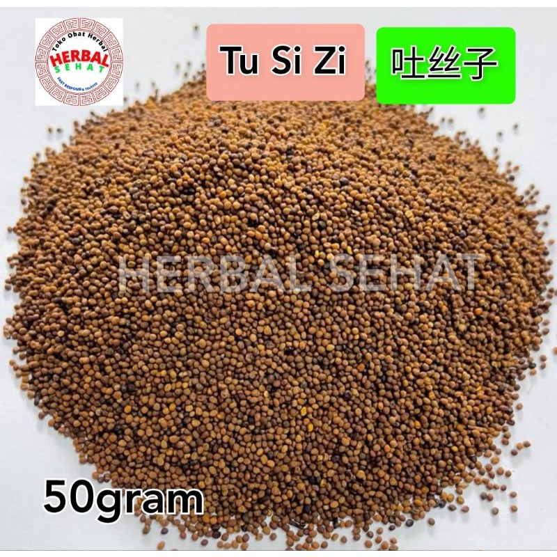 

Tu Si Zi 50 gram Tu Si Ci / Thu Si Ci - Semen Cuscutae Chinensis 菟丝子