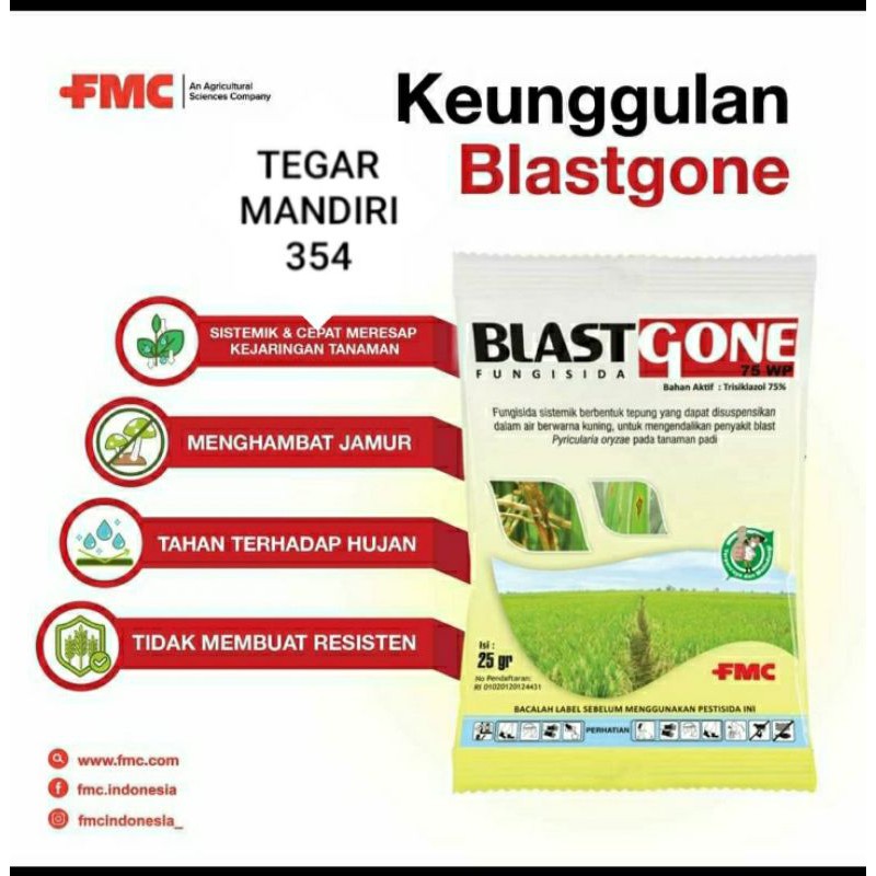 Fungisida Blast gone 15gram/FUNGISIDA BLAST GONE 75WP / Blasgon / BLASTGON