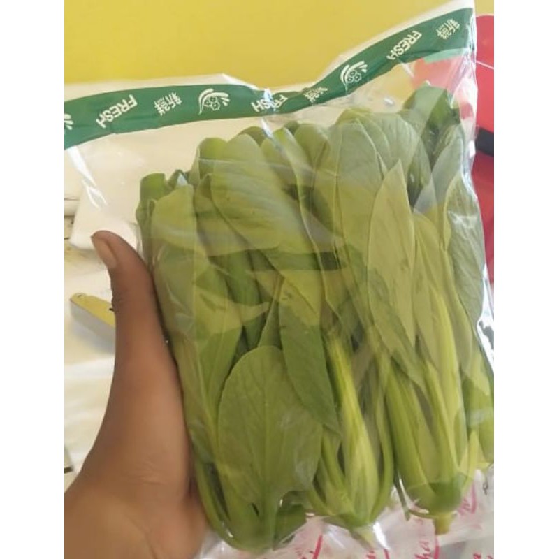 

Pakcoy Hidroponik sayuran segar Non Pestisida