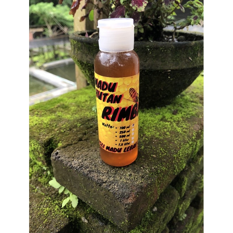 

MADU HUTAN MURNI ASLI 100ml