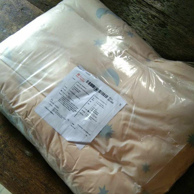 Bantal Duduk-bantal Lesehan (40x40cm Diukur Setelah Diisi Silikon) 1kg = Muat 2bantal