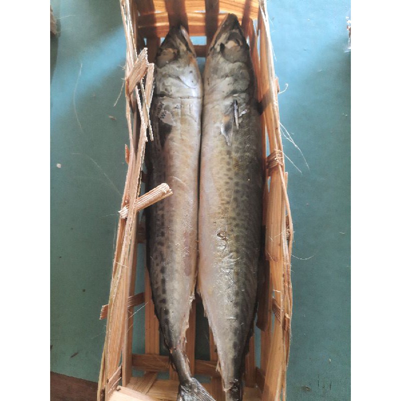 

ikan pindang ( all varian)
