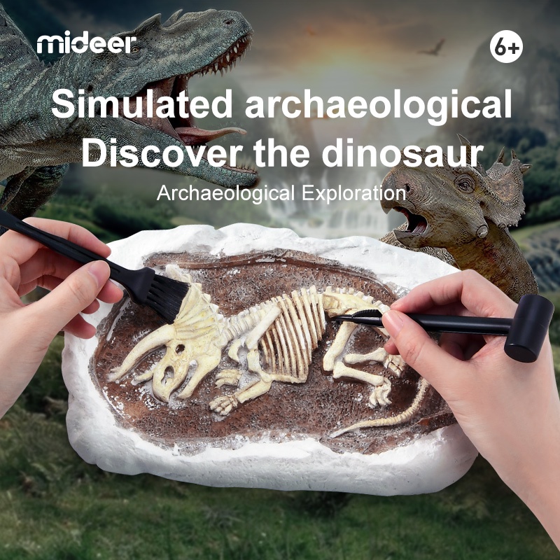 TweedyToys - Mideer Steam Arkeolog / Mideer Steam Games Revive Fossil Dinosaurus / Mainan Edukasi Anak