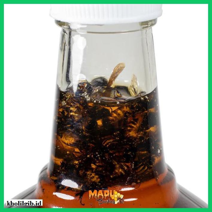 

MADU-MINUMAN- MADU ASLI DARI HUTAN BADUY. BOTOL KACA 600ML TANPA KERANJANG. -ASLI-BUKAN-KAWE-KAWE-