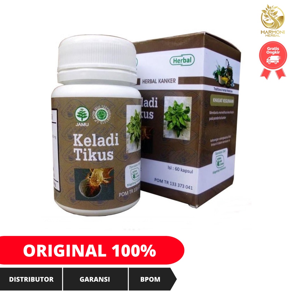 Kapsul Herbal Kanker Keladi Tikus Hiu  Original Herbal Indo Utama