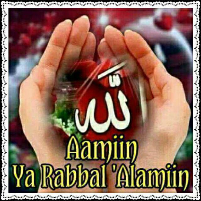 Gembok Bestguard 50 Mm