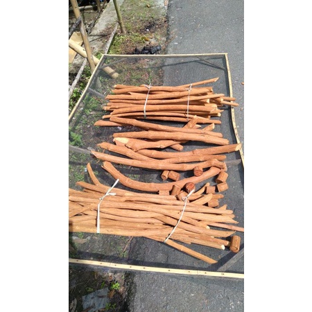 

bajakah kalalawit merah