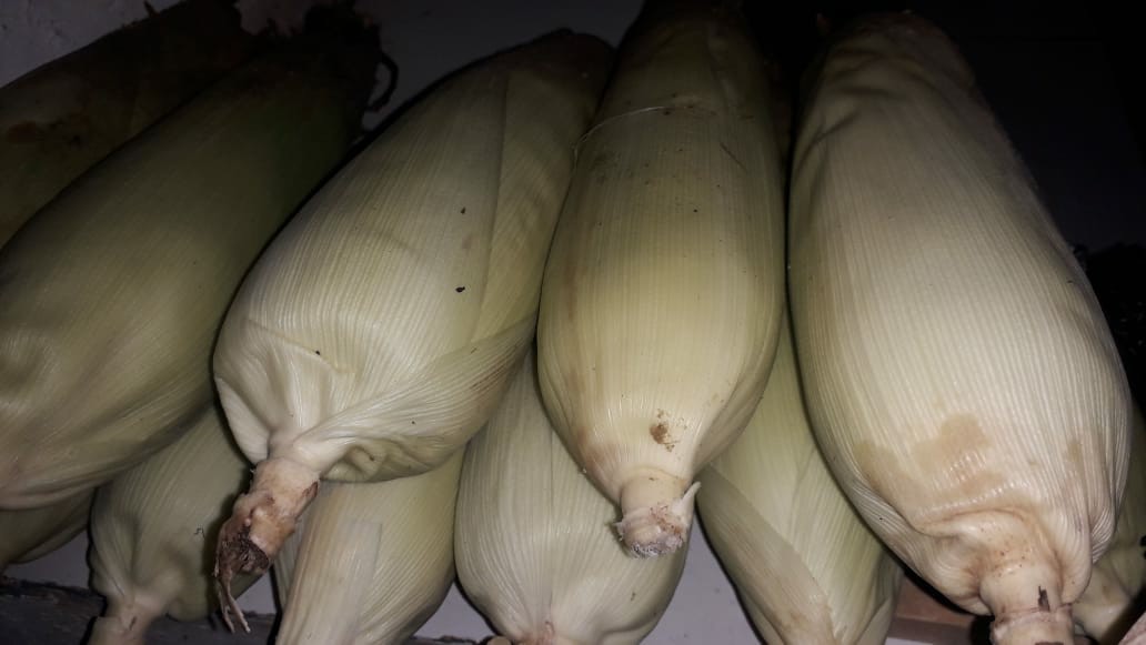 Daster Jumbo Lengan Panjang Batik Pekalongan Modis