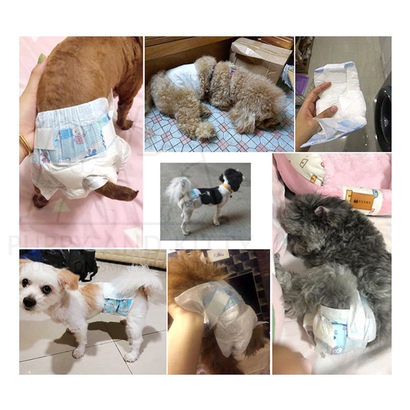 Pampers Kucing Anjing Diapers Kucing kitten Diapers Anjing Popok kucing Anjing Murah