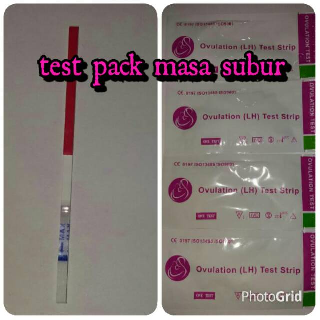 Test Pack Masa Subur Lh Test Ovulasi Shopee Indonesia