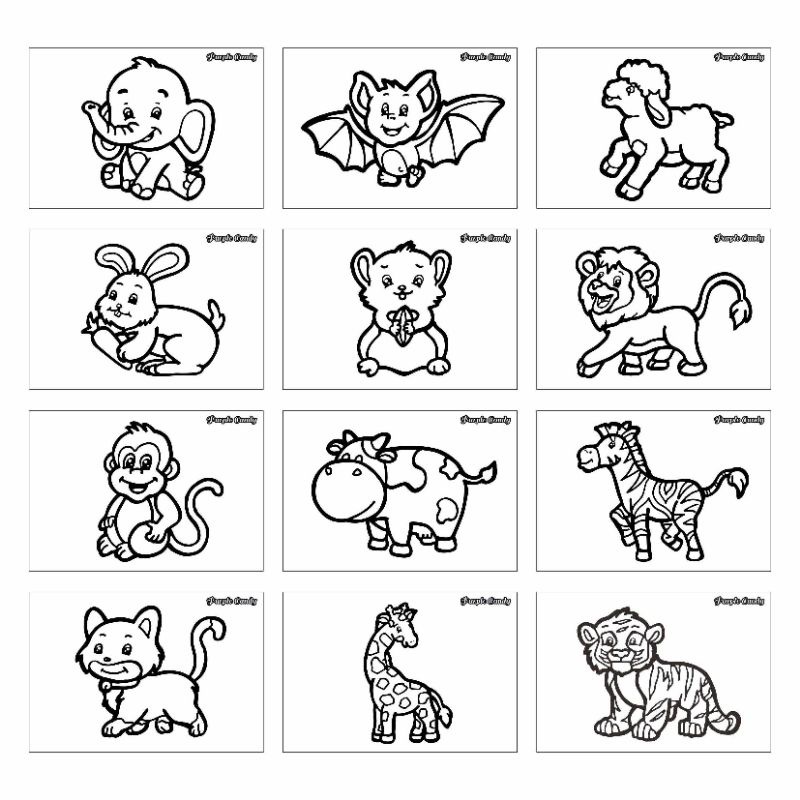 

Kertas Gambar Mewarnai Untuk Anak (12 Lembar) Tema "Mamalia