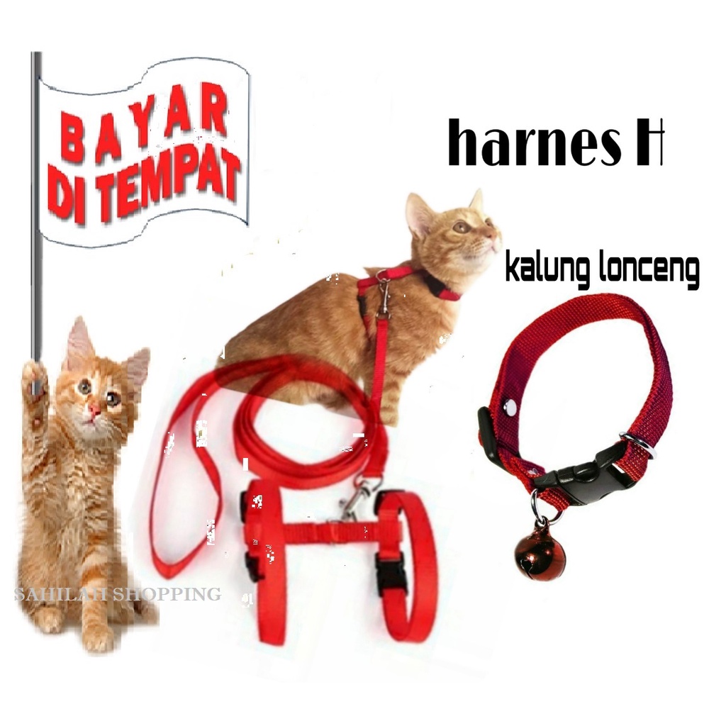 TALI TUNTUN KUCING ANJING MURAH HARNES TYPE H PLUS KALUNG POLOS LONCENG ANEKA WARNA