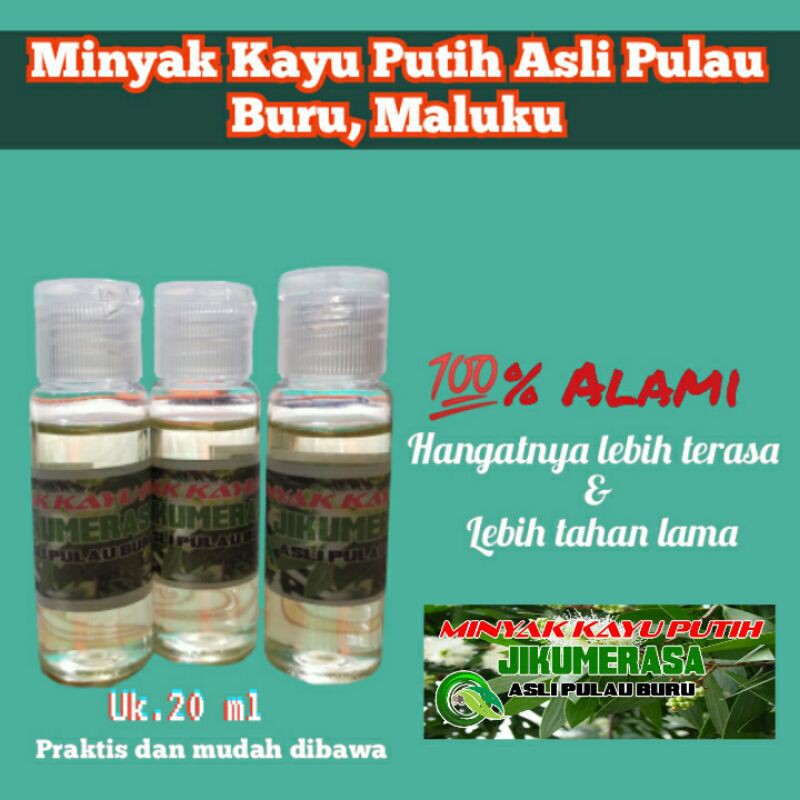 Minyak Kayu Putih Asli Alami Maluku Ambon Pulau Buru Eucalyptus Oil 20ml