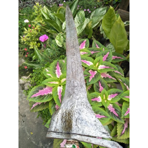 keris sepuh era mojopahit