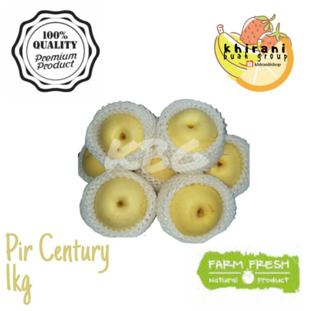 

PIR CENTURY / BUAH PIR / BUAH SEGAR 1kg