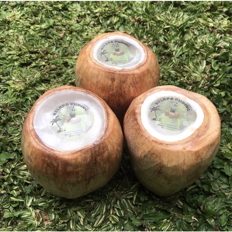 

Kelapa Puding Bogor, Puding Kelapa Bogor