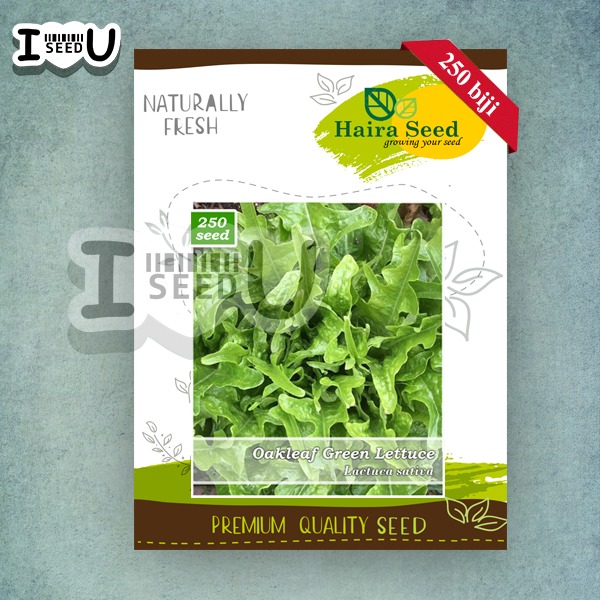 Haira Seed Bibit-Biji Selada Keriting Oakleaf Green