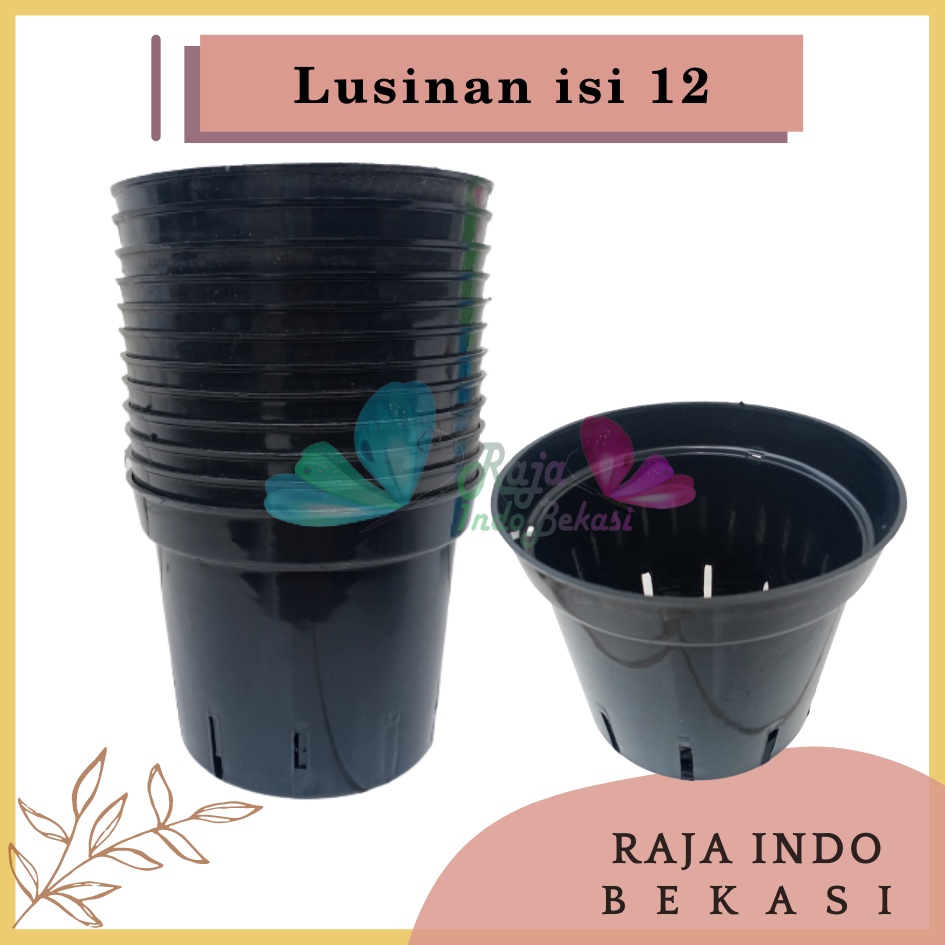 LUSINAN Pot Anggrek 20 Pot Bunga Anggrek Orchid Plastik 20 Cm - Pot Banyak Lubang