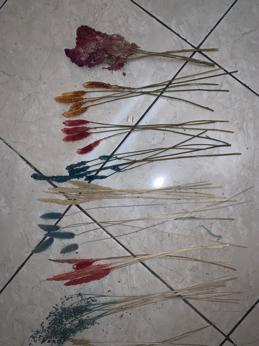 Bunga Kering Oson - Oson Violet