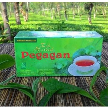 Teh Celup Pegagan Obat herbal khasiat ampuh melancarkan peredaran darah nutrisi otak dengan teh pegagan original asli 100% original