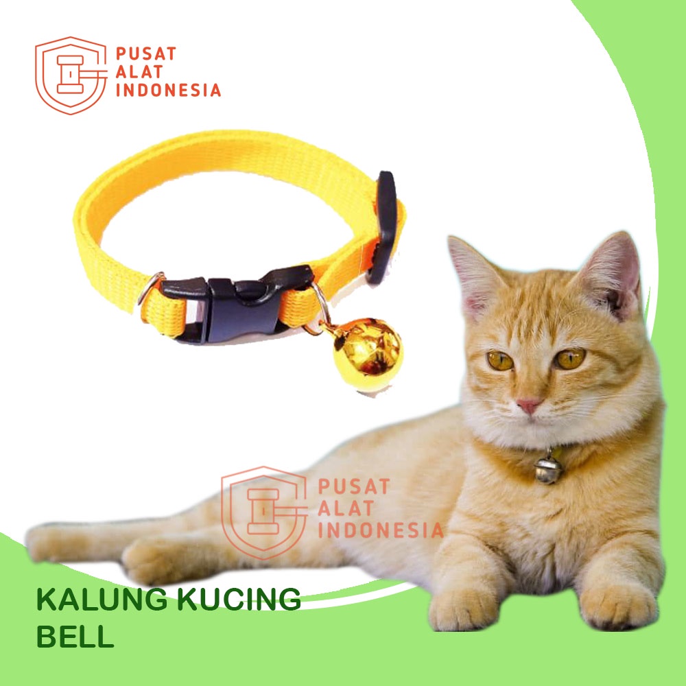 KALUNG KUCING ANJING LONCENG MURAH LUCU MOTIF POLOS DOG CAT COLLAR WARNA WARNI