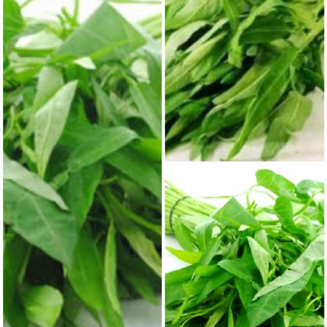 

Fresh kangkung