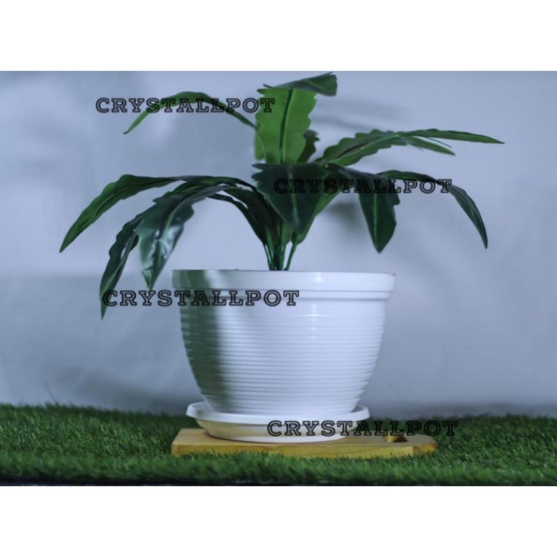 Pot bunga tanaman motif lebah warna putih 24cm + tatakan putih