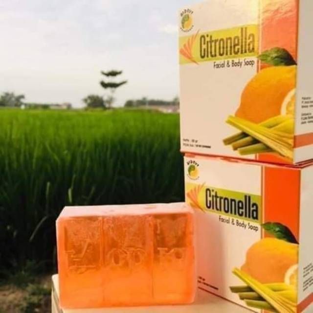 Sabun Bidoyi Citronella Original
