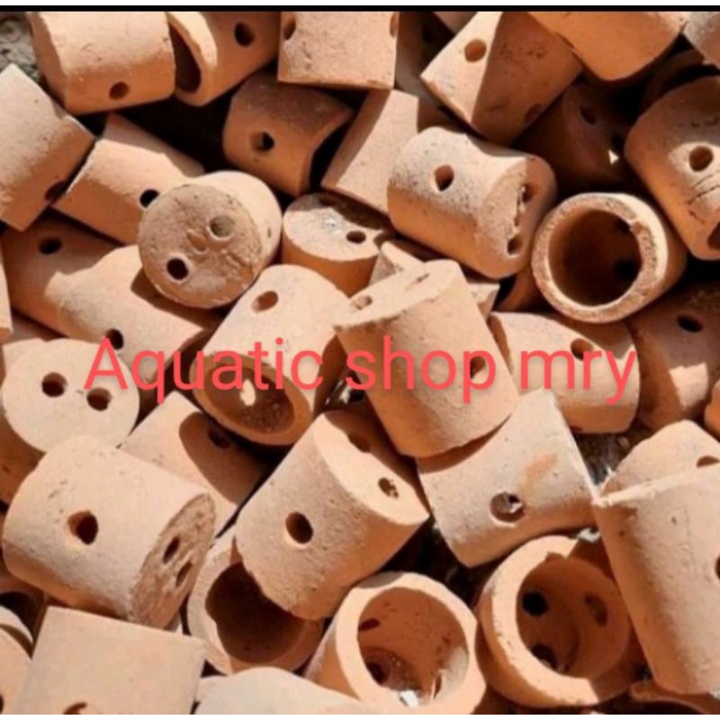 pot tanaman aquarium aquascape