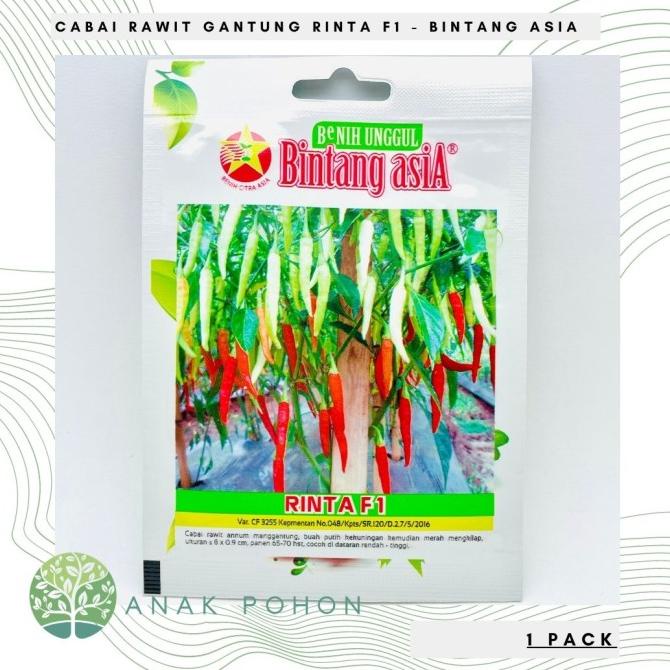 ( 1 PACK ) Benih Cabai Rawit Gantung RINTA F1 - Bintang Asia (1 biji) ANPN62 Murah