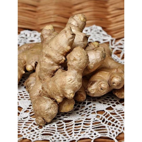 

Jahe Besar 1kg fresh Bandung