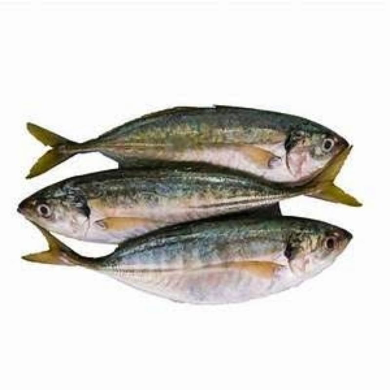 

Ikan Asin Selar 250 Gr Murah