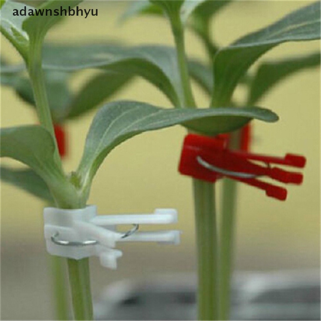 Adawnshbhyu 100pcs Klip Okulasi Plastik Tanaman Sayuran Kebun Rata Dan Bulat