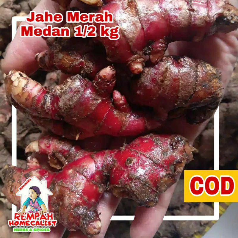 Jahe merah segar 500gram Jahe merah medan fresh