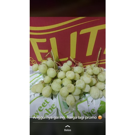 

Anggur Hijau Seedless