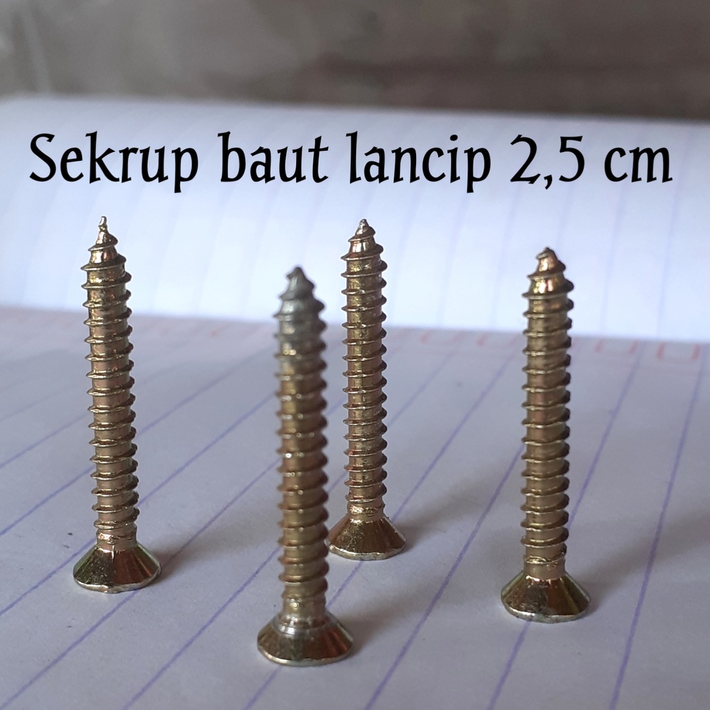 Sekrup Baut Lancip 25 mm 10 biji grosir