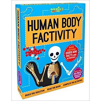 Human Body Factivity
