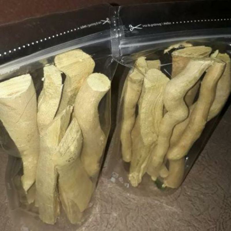 akar pasak bumi kalimantan