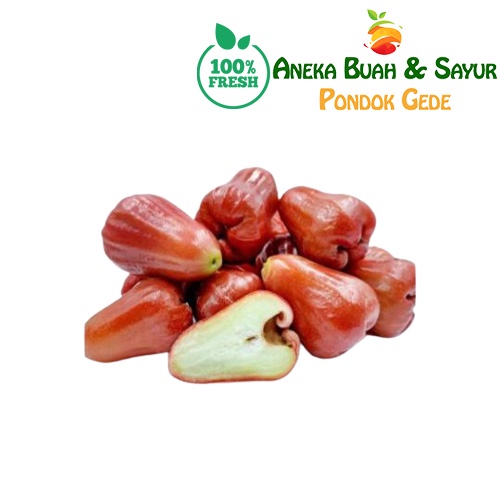 

Jambu Air Merah Manis 500gr